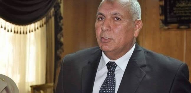 قرارات رئاسية مهمة لتشجيع الإستثمار فى الوادى الجديد خلال أيام