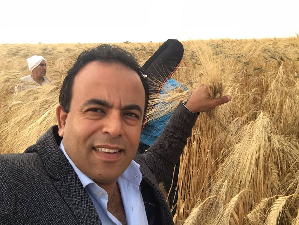 مركب جديد ينقذ ٧٠ ٪؜ من محصول القمح ويقضى على الحشائش القاتلة