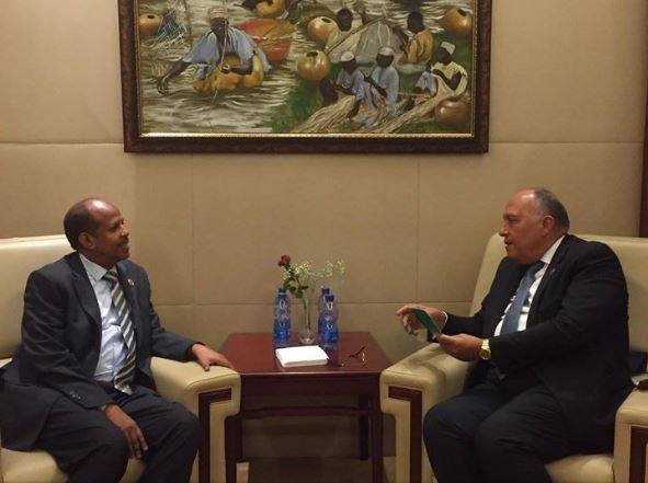 وزير الخارجية يبحث إقامة منطقة حرة لوجيستية مصرية في جيبوتي