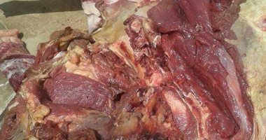 ضبط 13 طن لحوم وسلع غذائية غير صالحة للاستهلاك الآدمي بالإسكندرية