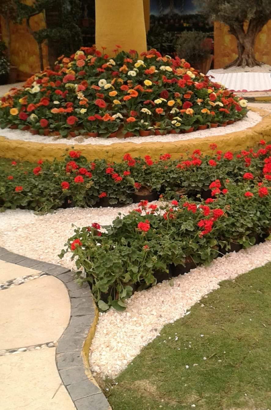 وزير الزراعة يفتتح معرض زهور الربيع بحديقة الأورمان في عيد الأم