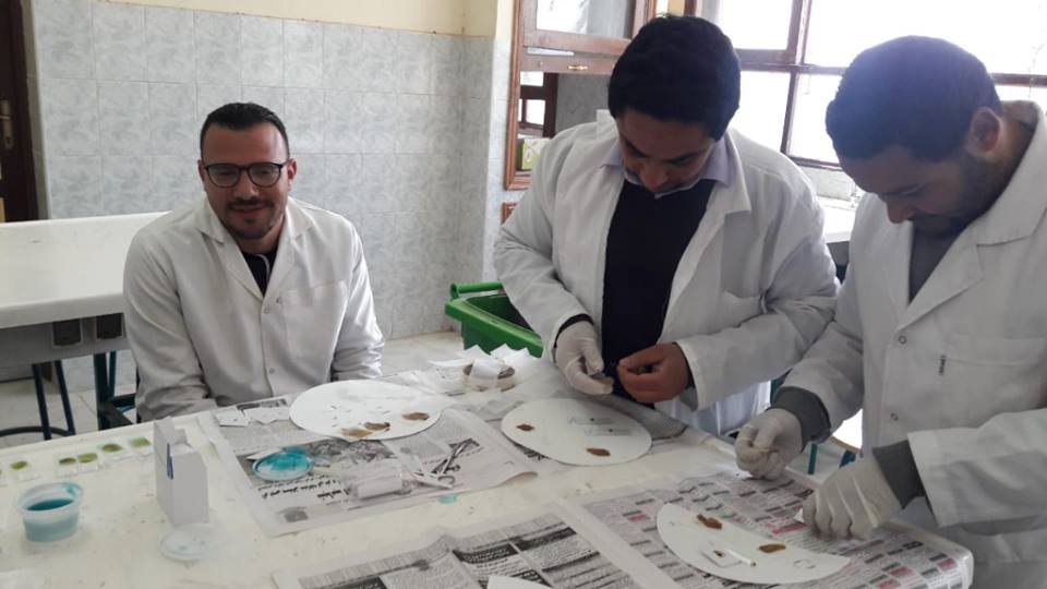 صحة الفيوم تتابع أعمال فحص تلاميذ المدارس بطريقة CCA للكشف عن البلهارسيا