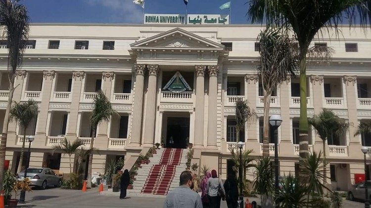 السعيد : صيانة السلم الرئيسي بإدارة الجامعة بعد ظهور بعض التنميلات