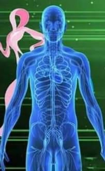 اعتماد وحدتي السكتة الدماغية لاول مرة في مصر و افريقيا