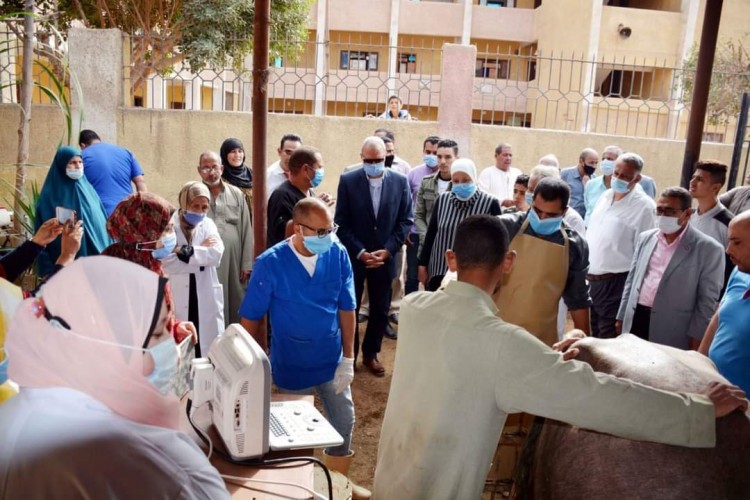 محافظ القليوبية يتفقد قافلة طبية بيطرية بقرية إمياي بطوخ