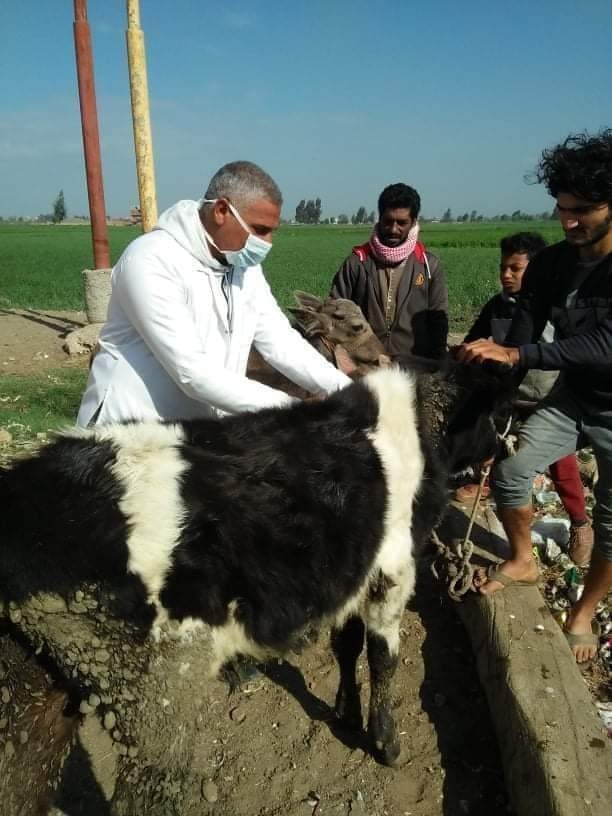 جامعة الزقازيق توجه قافلة طبية بيطرية إلي قرية المسلمية بمركز الزقازيق بالشرقية