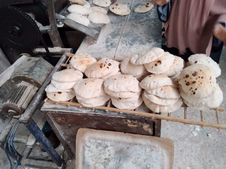 تموين الإسكندرية يحرير 250 محضر بينهم استيلاء علي الدعم