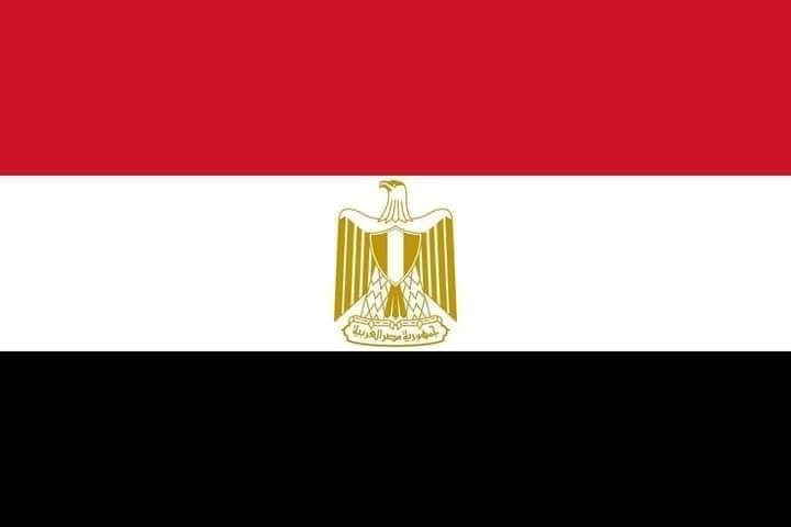 وطنى