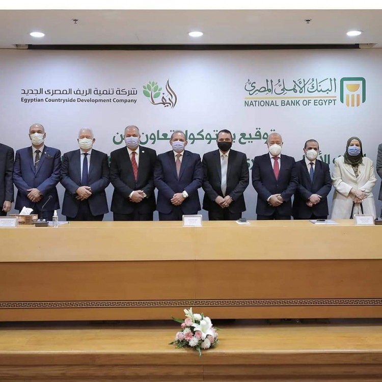 الريف المصرى: 20.5 مليون جنيه قرضا لإحدى شركات الـ1.5 مليون فدان العاملة فى سيوة
