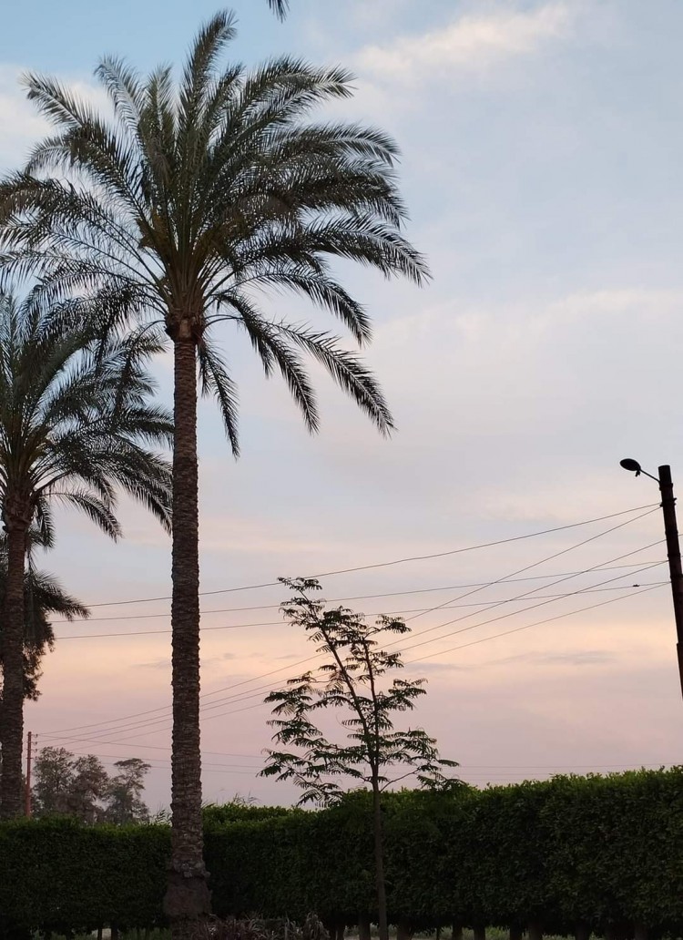 جمال الطبيعة