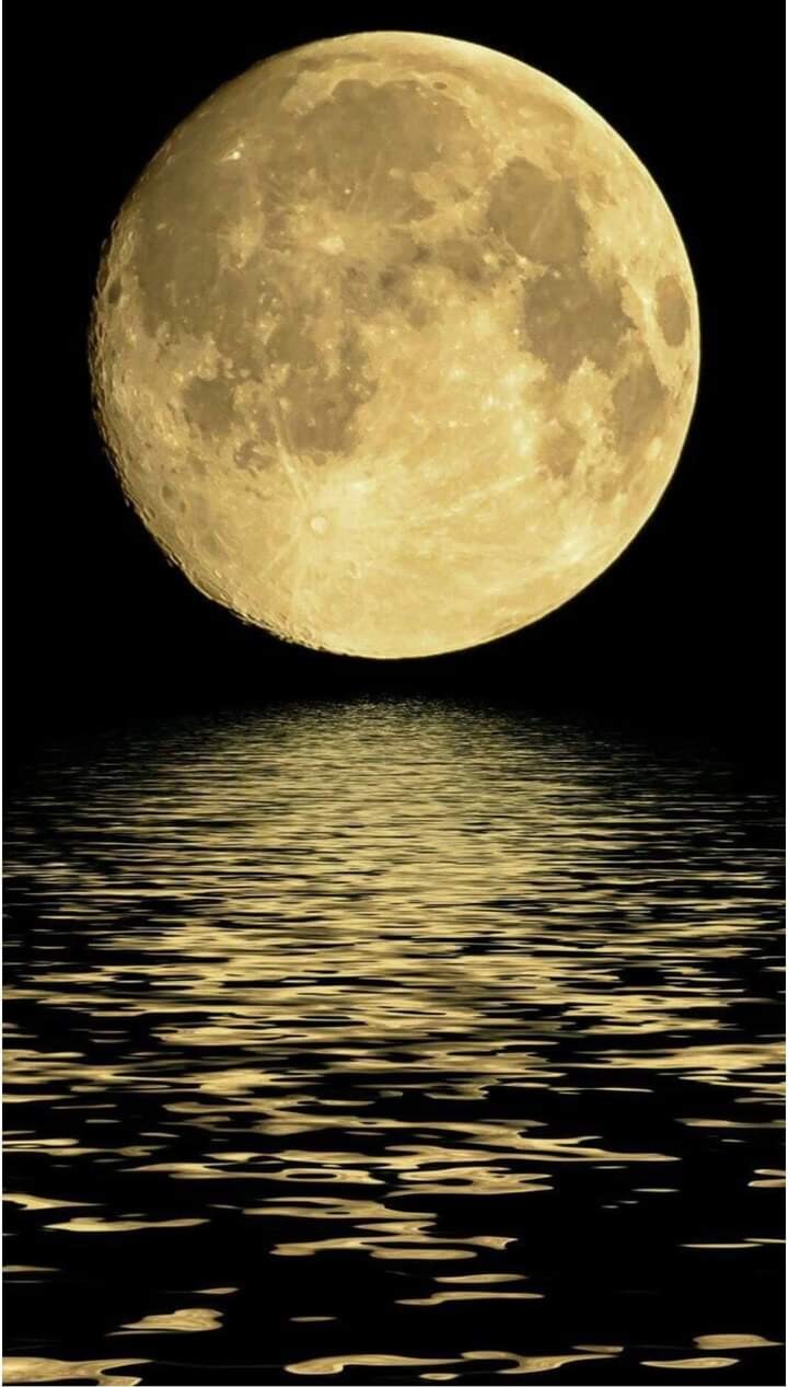همهمت بالشك