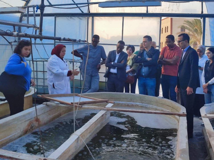 التعليم العالي : معهد علوم البحار والمصايد يستقبل وفدًا دوليًا لتعزيز التعاون في الاقتصاد الأزرق ضمن برامج الاستزراع المائي