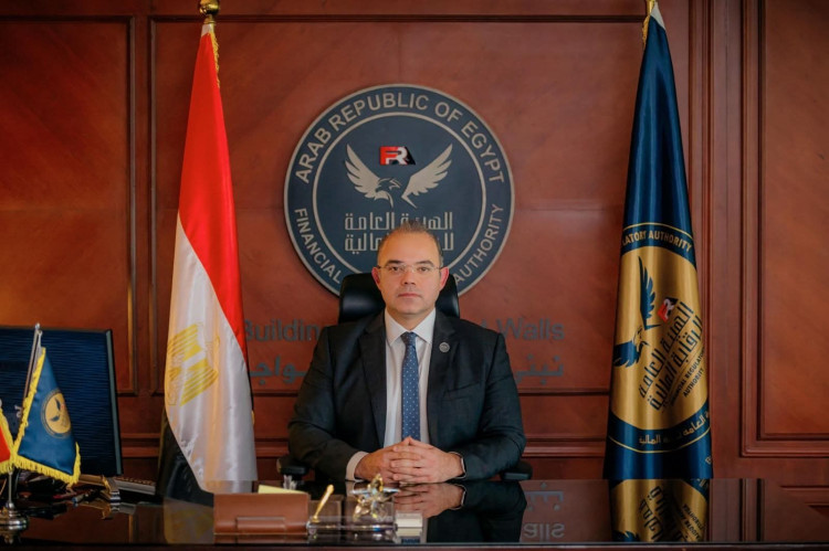 الرقابة المالية ترفع الحد الأقصى لتمويل المشروعات متناهية الصغر وحجم التغطية التأمينية لنشاط التأمين متناهي الصغر