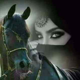 لا شيئا