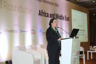 وزيرة البيئة تشارك في المائدة المستديرة لتأهيل السوق بأفريقيا والشرق الأوسط