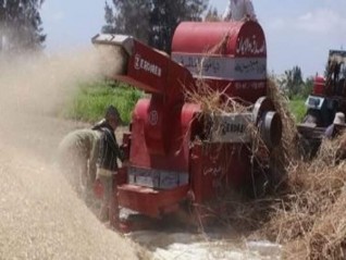 مصرع ربة منزل التف حولها سير ماكينة حصاد القمح بالفيوم