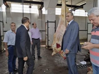 إعدام رأسي ماشية غير صالحة للاستهلاك قبل تداولها بالأسواق بالمنيا