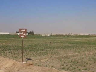 مراكز المنيا تزيل 1993 حالة تعد على أملاك الدولة