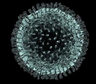 جمعيه"نهوض وتنمية المرأة" تعلق العمل في فروعها وتتخذ إجراءات احترازية حفاظًا على صحة موظفيها