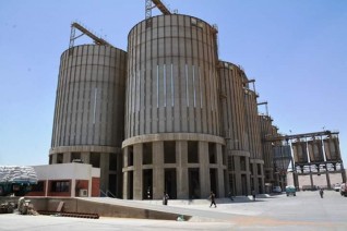 محافظ سوهاج: توريد 731 طن أقماح منذ بدء الموسم دون معوقات