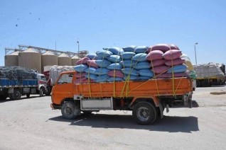 مراكز المنيا 303 ألف طن من الاقماح بالشون والصوامع