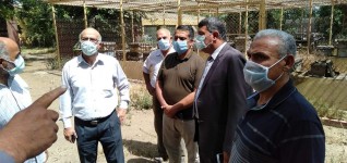 هشام رفعت وجرامون يتفقدان مدرسة كفر شكر الثانوية الزراعية