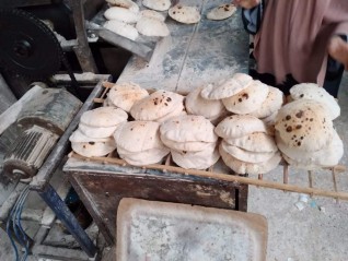 تموين الإسكندرية يحرير 250 محضر بينهم استيلاء علي الدعم