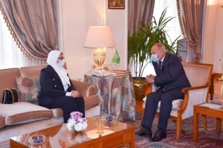 وزيرة الصحة تلتقي أبو الغيط لبحث استمرار تقديم الدعم الطبي للدول العربية
