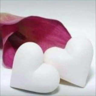 قلوب الطاهرين