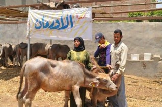 الأورمان : المتابعة الشهرية والطبية لرؤوس المواشي المسلمة للأولى بالرعاية فى محافظة كفرالشيخ