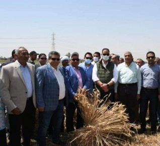 محافظ الفيوم يفتتح موسم حصاد الذهب الأصفر بأحد الحقول الزراعية بمركز إطسا