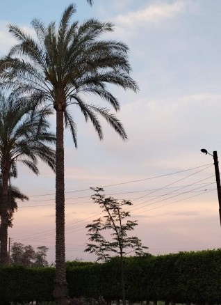 جمال الطبيعة