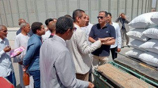 التموين: توريد 3 ملايين طن قمح محلي من المزارعين حتي الآن