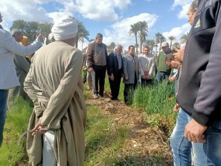 قافلة إرشادية عن النباتات الطبية والعطرية ومحصول القمح ابشواي